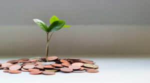 Dividend distribution