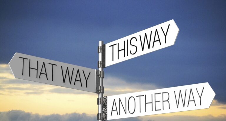 choose the right company type